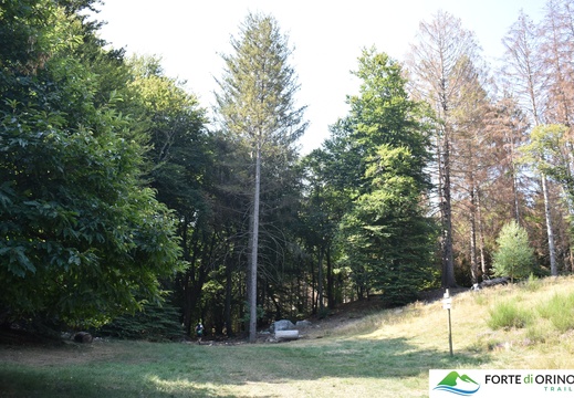 Pian delle Noci 2022  (341)