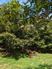 Ristoro PianDelleNoci (61)