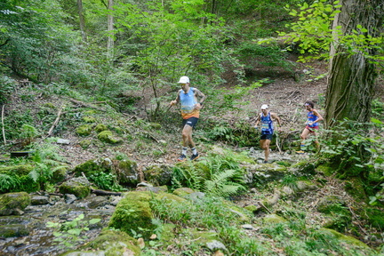 AndreaDambrosio 6347